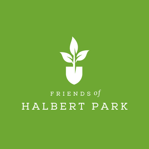 12 Halbert Park Pool Tips For Fun