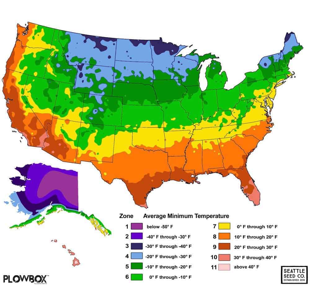 12+ Hardiness Zones To Plan Your Dream Garden