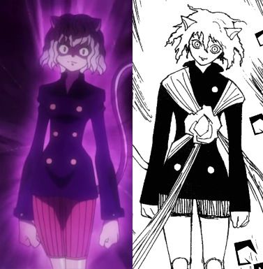 12 Hxh Manga Secrets After Anime