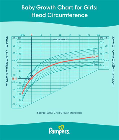 12 Infant Head Circumference Tips For Healthy Growth