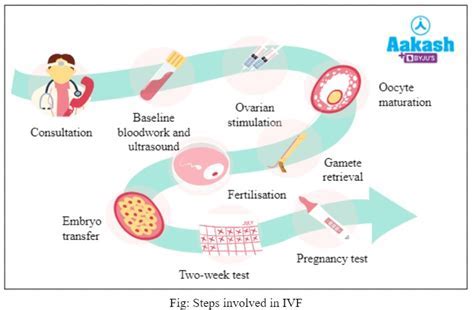 12 Ivf Scandal Tips Insider Yale Knowledge David Brown