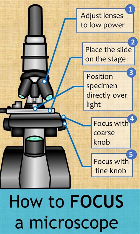 12 Microscopy Tips To Improve Accuracy