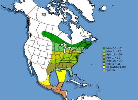 12 Migration Season Tips For Ontario