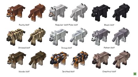 12 Minecraft Dog Colors Revealed