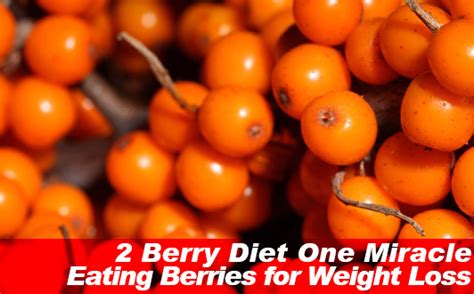 12 Miracle Berry Plant Secrets For Weight Loss