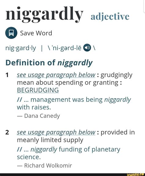 12 Niggard Definitions For Clear Understanding