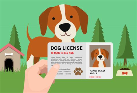 12+ Pet Licence Secrets For A Hasslefree Renewal