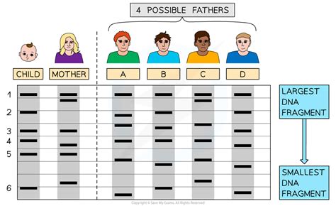 12 Polar Gene Profile Secrets Revealed