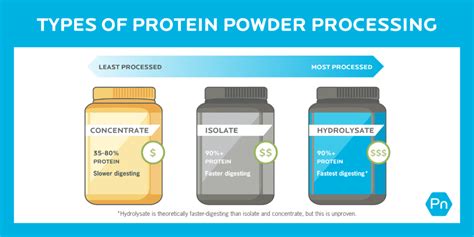 12 Protein Powder Facts For Better Results