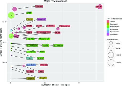 12+ Ptm Database Tips For Scientists