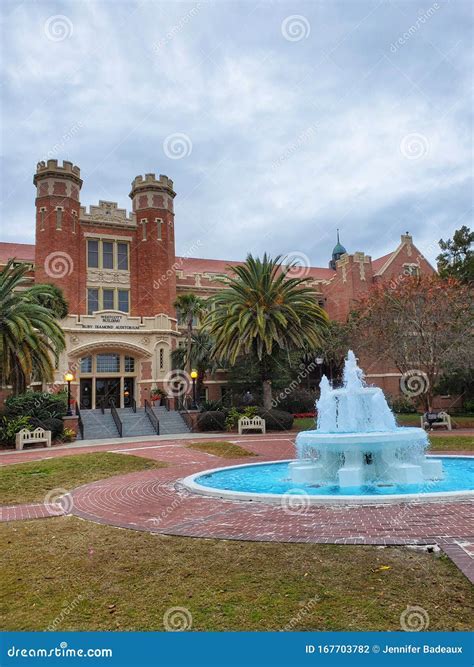 12 Regal Tallahassee Florida Secrets Revealed