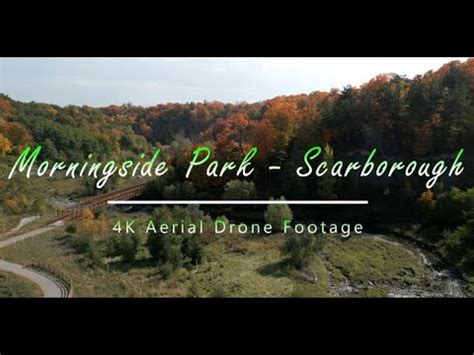 12+ Scarborough Secrets For Morningside