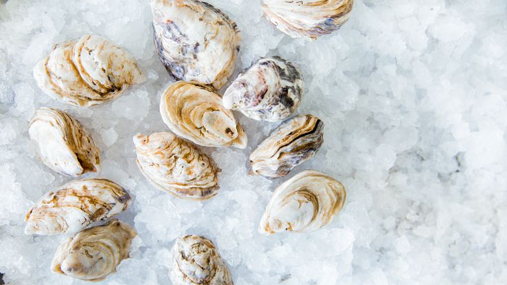 12 Shellfish Tips For Easy Shucking