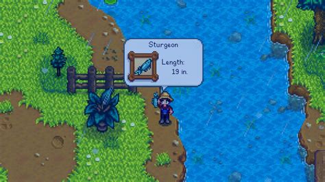 12 Stardew Valley Sturgeon Secrets To Catch Easily