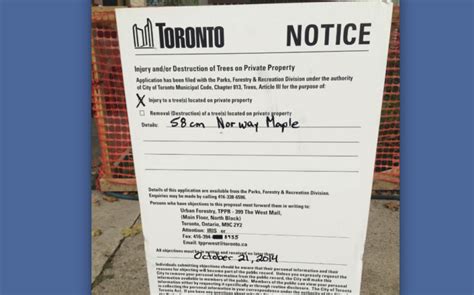 12+ Toronto Permit Secrets For Homeowners Saved