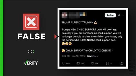 12 Trumps Child Support Laws Explained