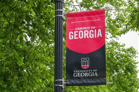 12+ Uga Admissions Secrets For A Successful Application