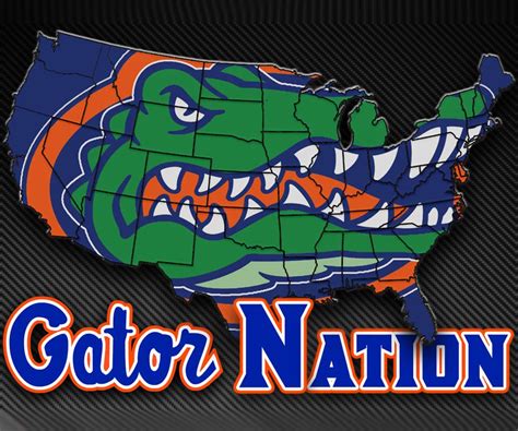 12+ Unique Gators Backgrounds To Enhance Your Device