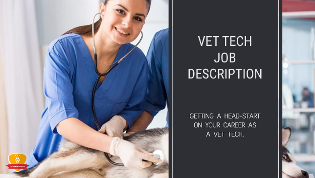 12 Vet Tech Program Tips For Job Success