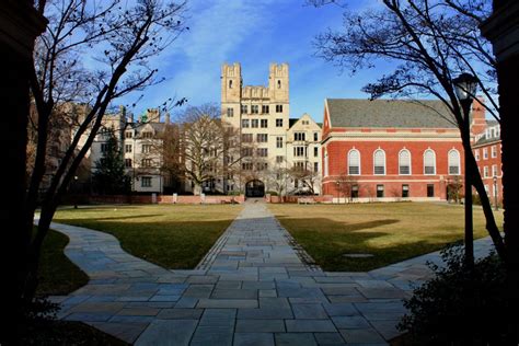 12 Yale Activities For Fun