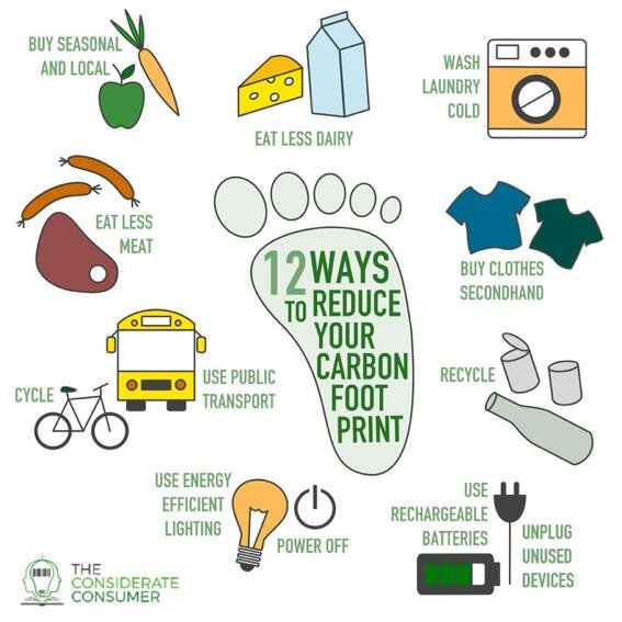 12 Yale Climate Tips To Reduce Carbon Footprint