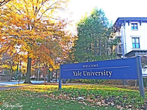 12+ Yale Facts To Outshine Harvard Applicants