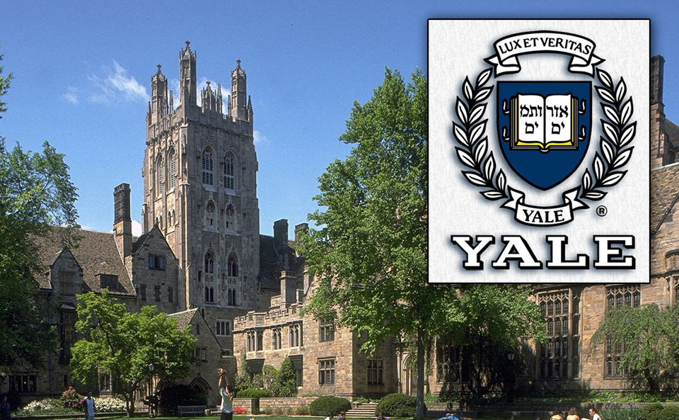 12 Yale Global Health Scholars Secrets To Success