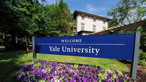 12 Yale Grad School Acceptance Rate Hacks