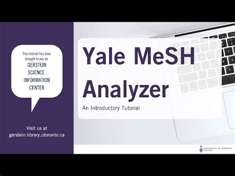 12 Yale Mesh Analyzer Tips For Faster Results