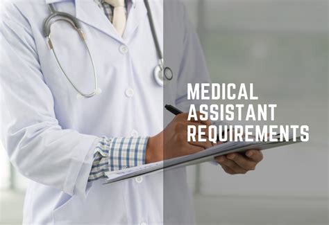 12+ Yale Physician Assistant Requirements To Know