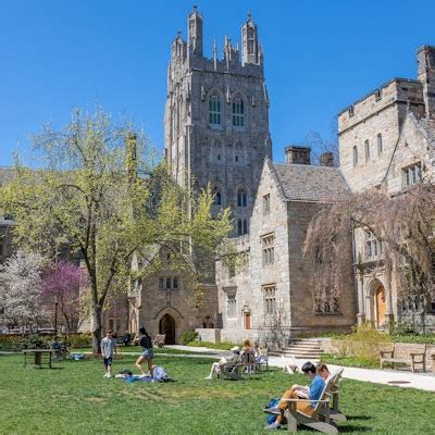 12+ Yale University Tips