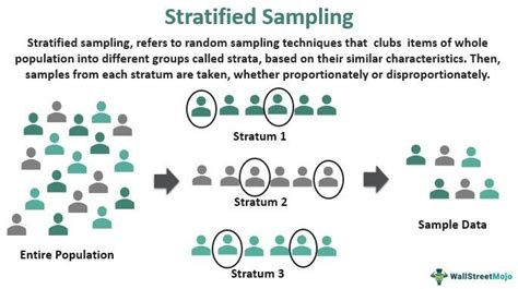 13 Stratified Sampling Methods For Better Results