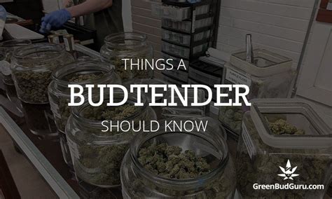 13 Things A Budtender Should Know Greenbudguru