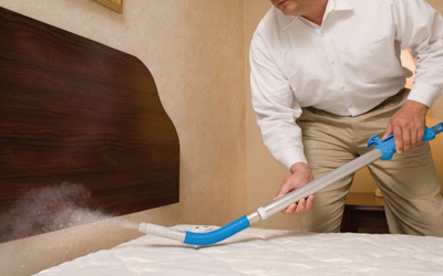 14 Ways To Survive A Bed Bug Infestation