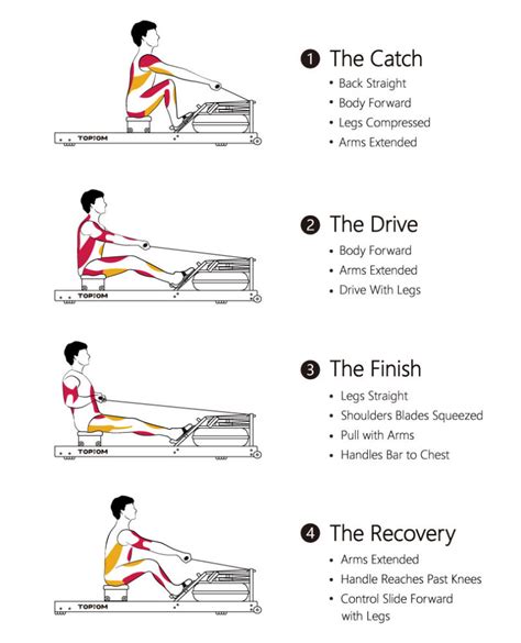 15 Benefits Of Rowing Machine And How To Reap Results Faster Topiom