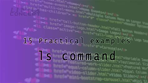 15 Practical Examples Of Ls Command