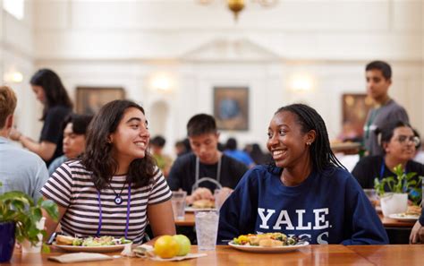 2019 Yale Young Global Scholars Yygs Programme