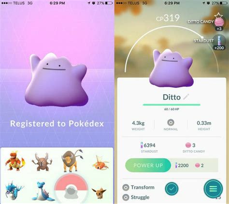 2024 How To Catch Ditto In Pokemon Go 5 Tips