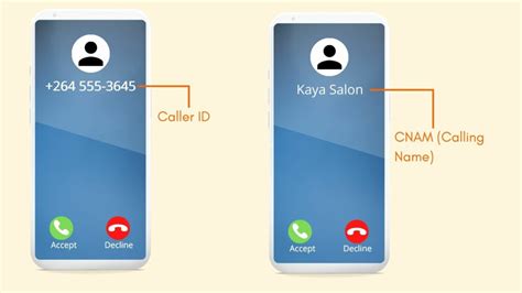 229 Phone Number Lookup: Identify Caller