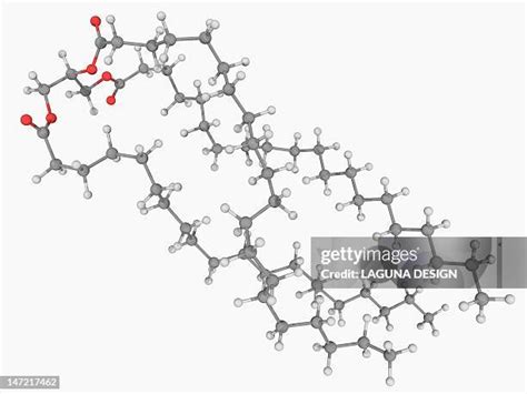 285 Triglycerides Stock Photos High Res Pictures And Images Getty