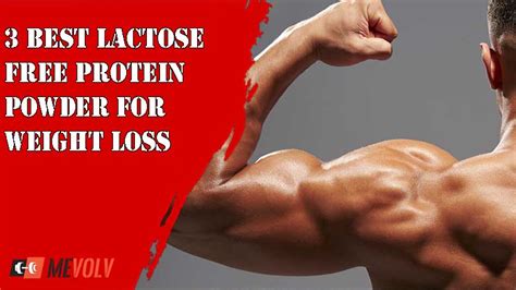 3 Best Lactose Free Protein Powder For Weight Loss Mevolv