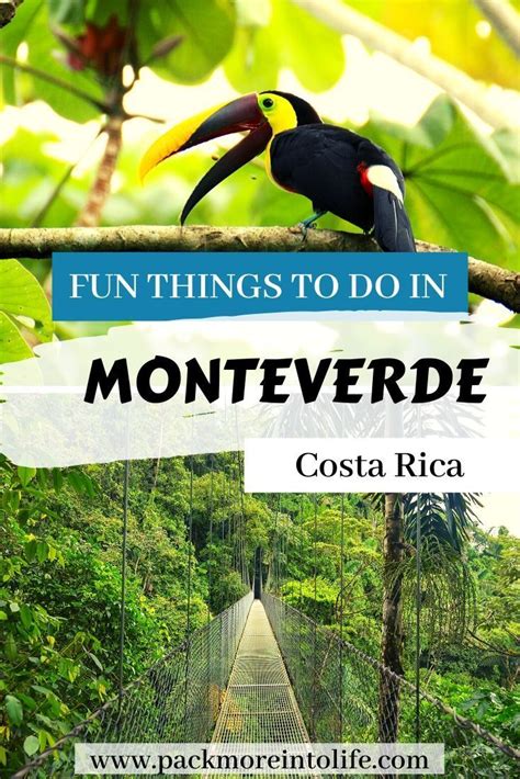 3 Day Monteverde Itinerary Best Things To Do In Monteverde Costa Rica