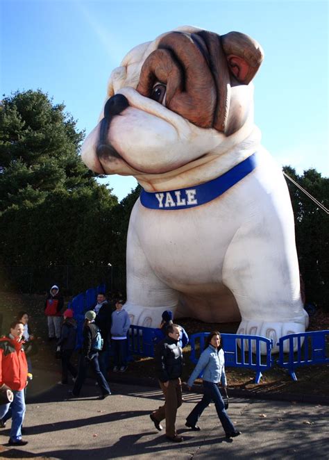 30 Best Live Mascots Handsome Dan Of Yale Images On Pinterest