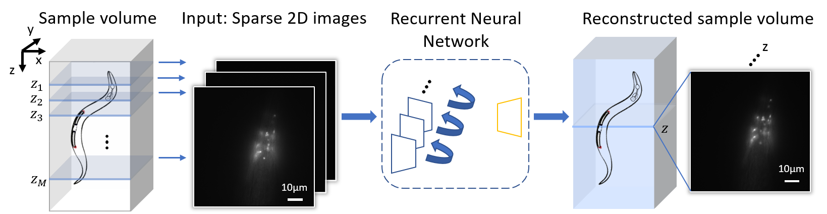 3D Fluorescence Microscopy Gets A Boost Using Recurrent Neural Networks