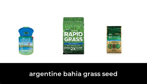 48 Best Argentine Bahia Grass Seed 2022 After 183 Hours Of Research