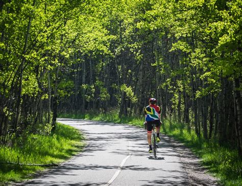 5 Of The Best Bike Rides Around Calgary Cycling Biking Calgary