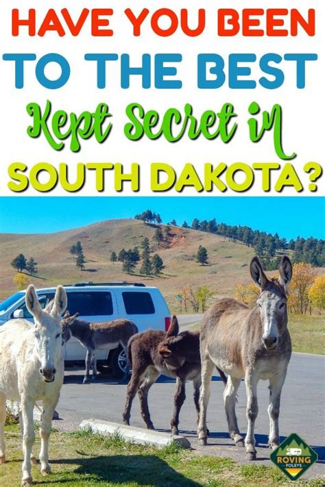 5 Reasons You Can T Miss Custer State Park An Absolute Must See