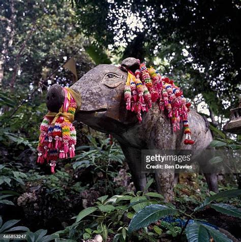 57 Gautam Budha Wildlife Sanctuary Stock Photos High Res Pictures And