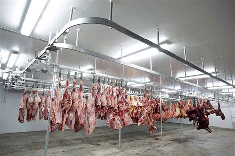 7 Abattoir Options Near Me For Fresh Meat