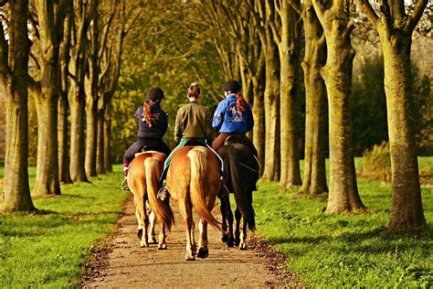 7 Best Places To Go Horseback Trail Riding In Texas